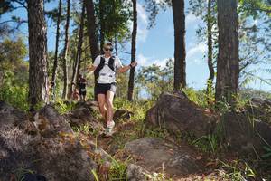 BIB: 
                            <button type="button" onclick="openModal(18938374)" class="btn btn-primary btn-sm float-right btn-popup" data-toggle="modal" data-target=".modal-high-quality">
                        <i class="fas fa-shopping-cart"></i> Add to Cart
                    </button>
                                            <button type="button" onclick="isThisMe(18938374, true)" class="btn btn-success btn-sm float-right btn-popup btn-isme hidden" data-toggle="tooltip" data-placement="bottom" title="นี่คือรูปของคุณใช่ไหม คลิกที่นี่เพื่อเอาเข้าอัลบั้ม">
                        <i class="fas fa-plus"></i> Add to album
                    </button>
                    <button type="button" onclick="isThisMe(18938374, false)" class="btn btn-warning btn-sm float-right btn-popup btn-isnotme hidden">
                        <i class="fas fa-ban"></i> Remove from album
                    </button>